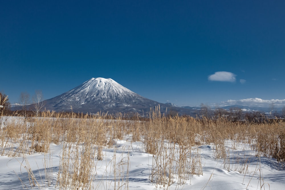 montanha coberta de neve