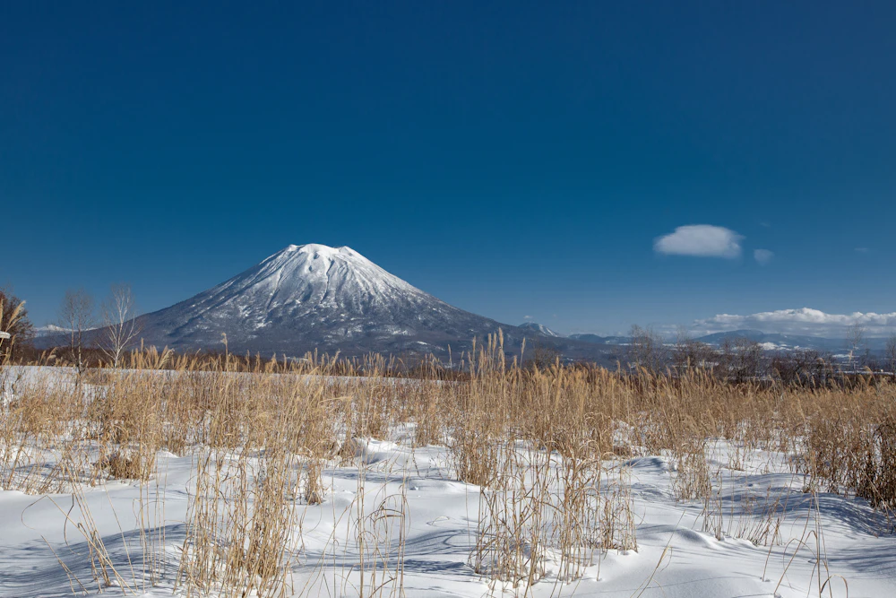 Niseko, Japon