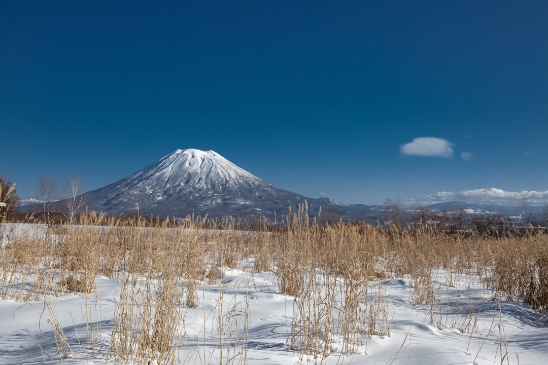 snow covered mountain