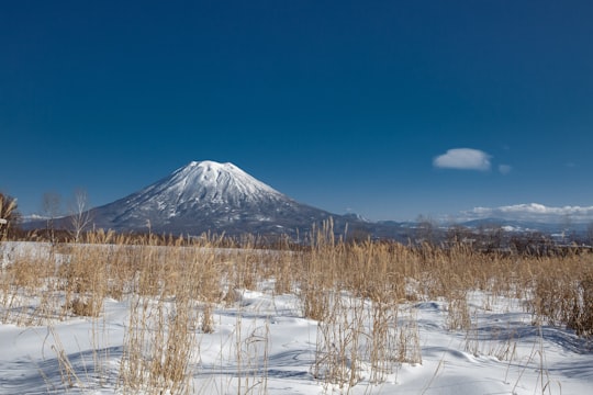 snow covered mountain in Niseko Japan