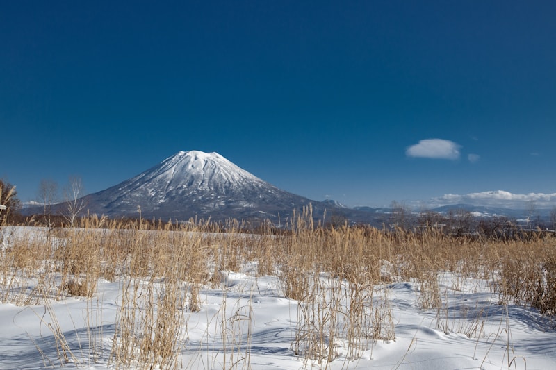 Niseko