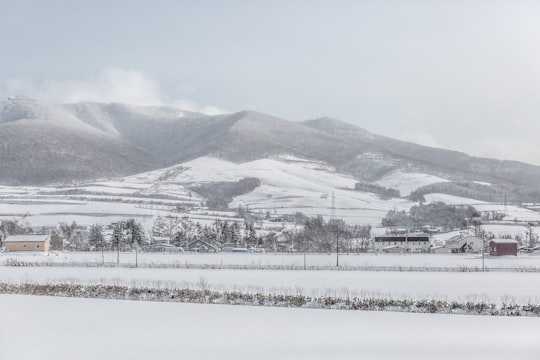 white field in Niseko Japan