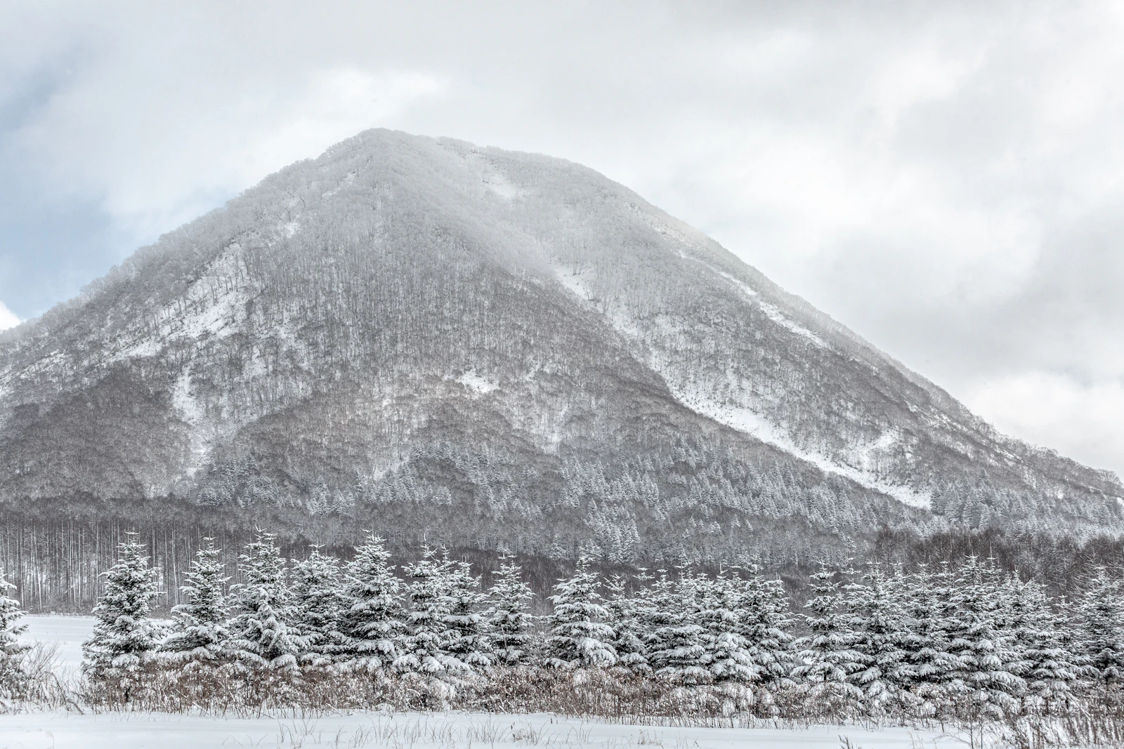 Higashiyama Niseko Village, a Ritz-Carlton Reserve Beneath Mount Yotei
