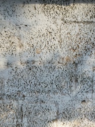 A textured surface with a white and grayish pattern resembling rough plaster or stucco. The surface appears uneven with small pitted indentations and light brown patches.
