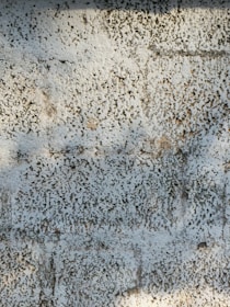 A textured surface with a white and grayish pattern resembling rough plaster or stucco. The surface appears uneven with small pitted indentations and light brown patches.