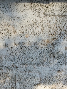A textured surface with a white and grayish pattern resembling rough plaster or stucco. The surface appears uneven with small pitted indentations and light brown patches.