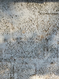 A textured surface with a white and grayish pattern resembling rough plaster or stucco. The surface appears uneven with small pitted indentations and light brown patches.