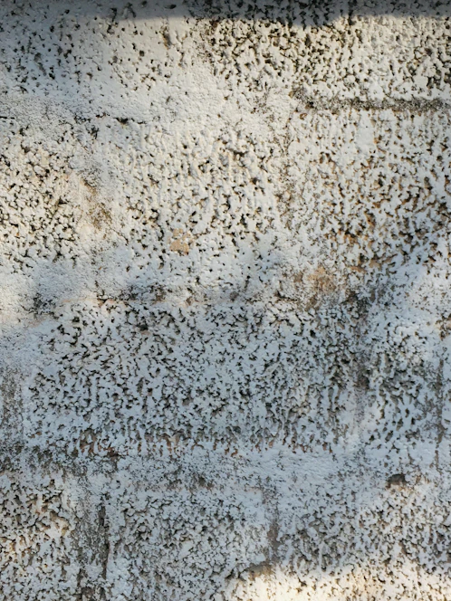 A textured surface with a white and grayish pattern resembling rough plaster or stucco. The surface appears uneven with small pitted indentations and light brown patches.