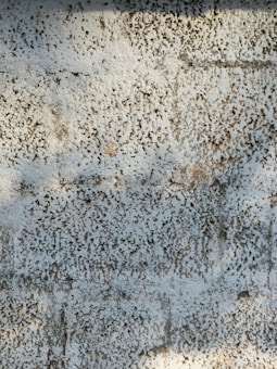 A textured surface with a white and grayish pattern resembling rough plaster or stucco. The surface appears uneven with small pitted indentations and light brown patches.