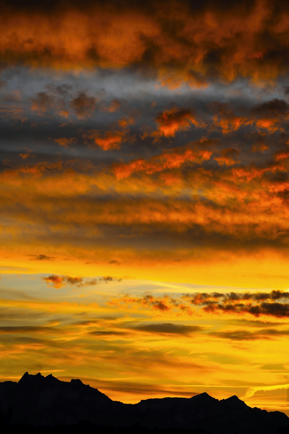 a plane flying in the sky at sunset