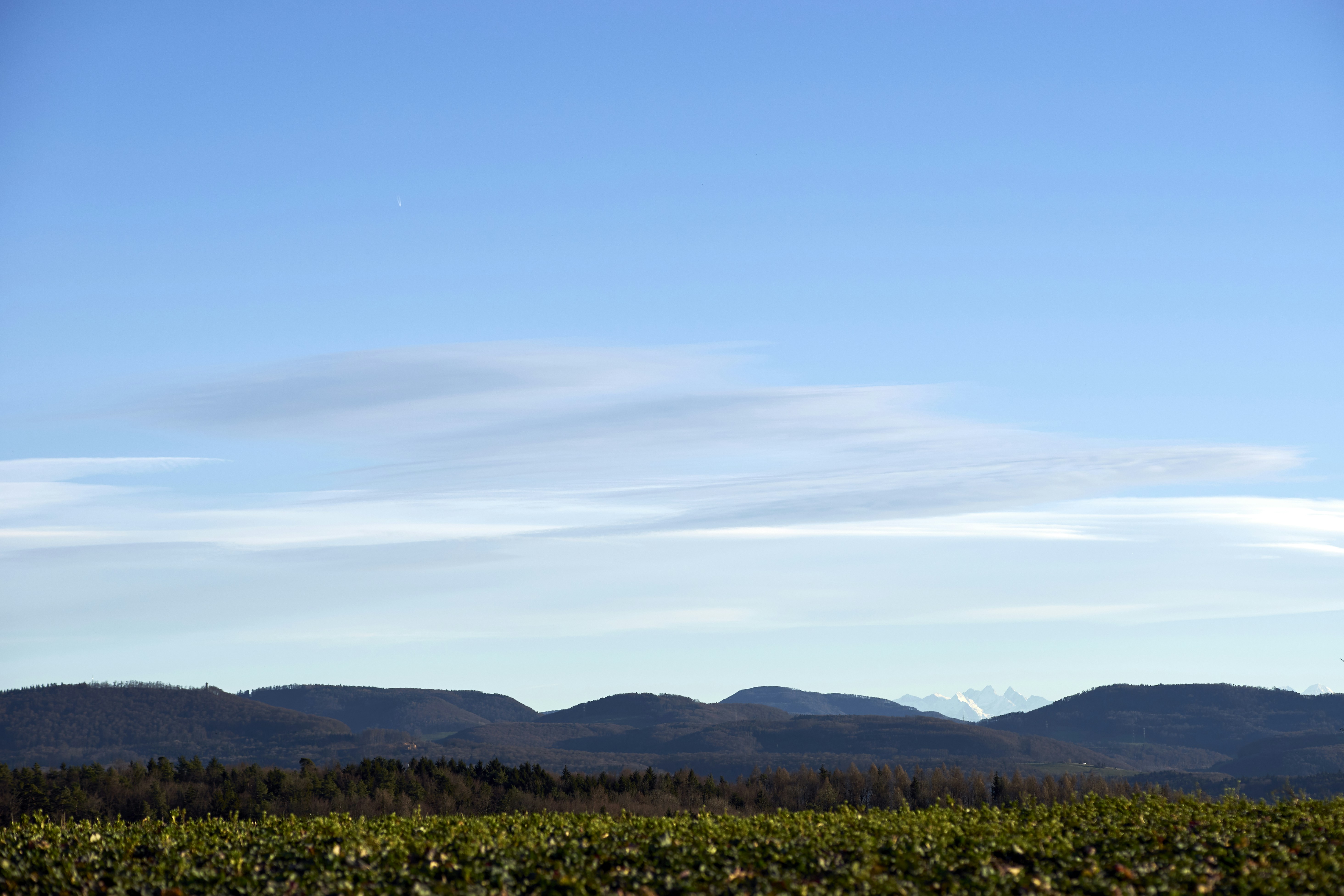 Photo by wolfgang_hasselmann