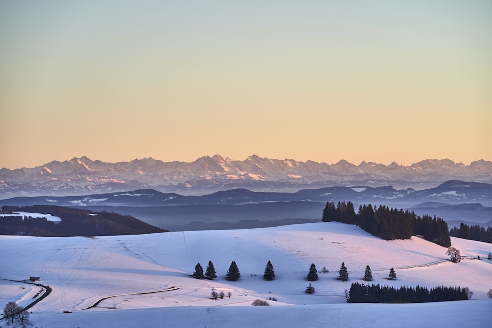 snow covered field