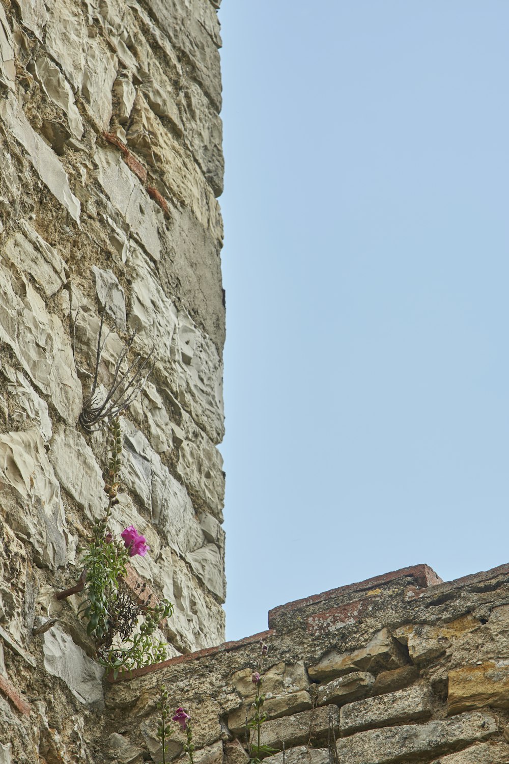 a clock on the side of a stone building