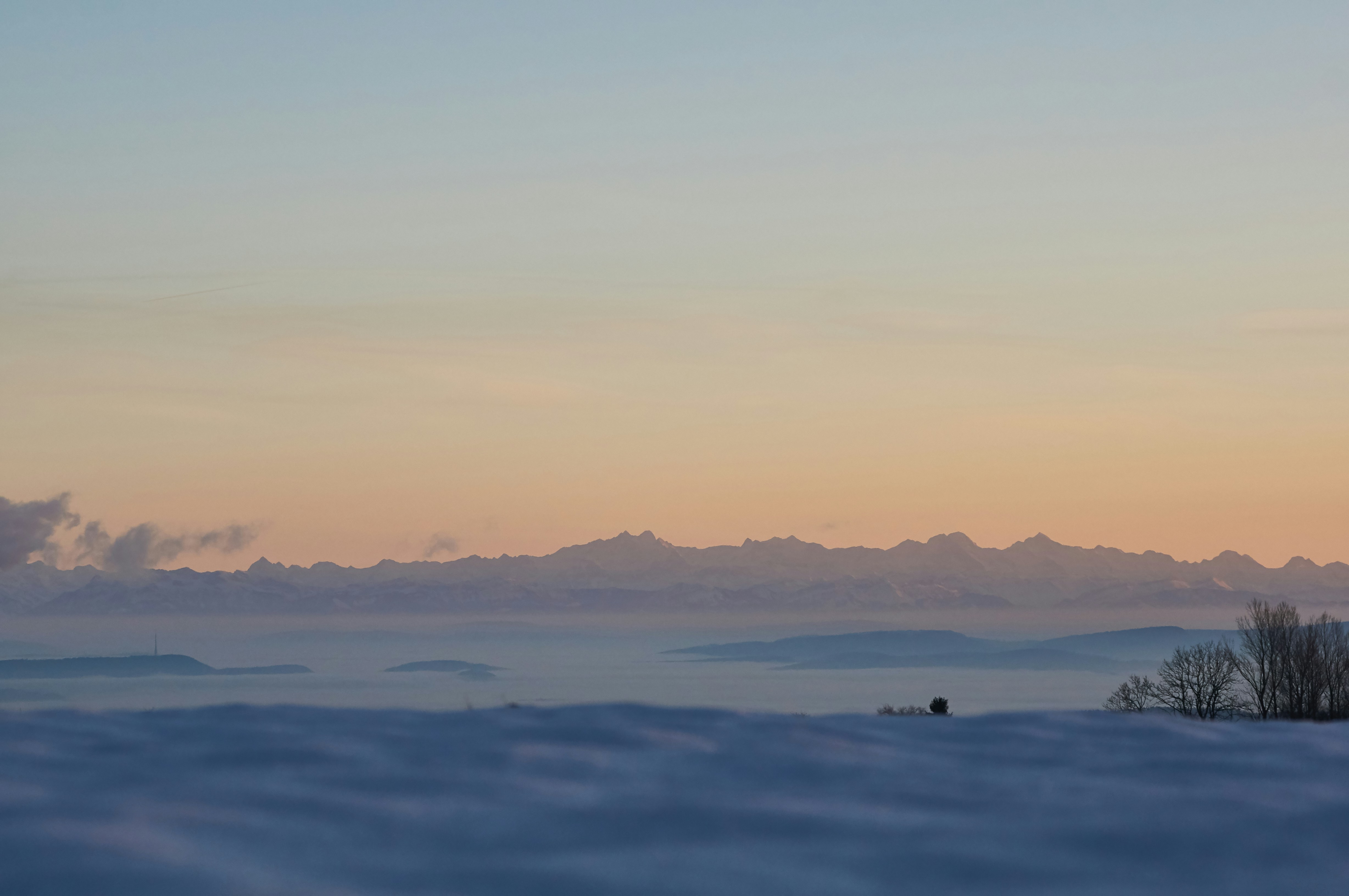 Photo by wolfgang_hasselmann