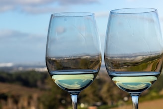 Two wine glasses are partially filled with white wine, set against a blurred backdrop of a scenic view that includes vineyards and a hazy sky.