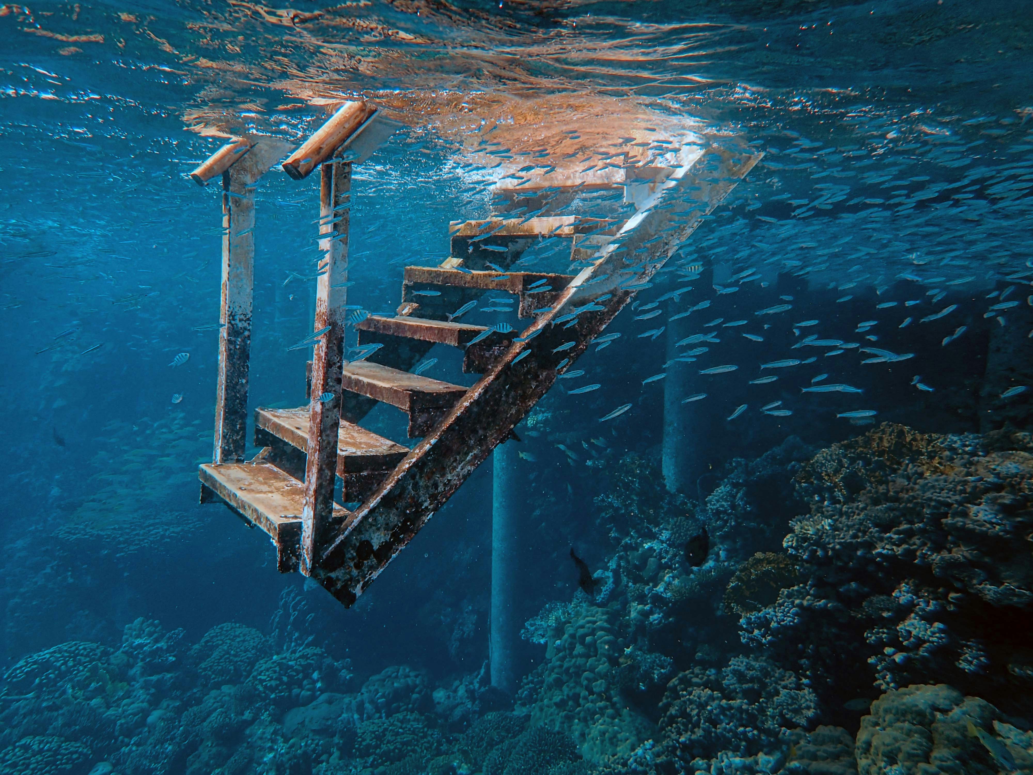underwater photography of brown stairby Francesco Ungaro