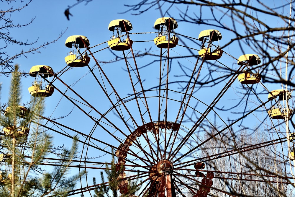 closeup photo of ferris wheel beside bare trees during daytime