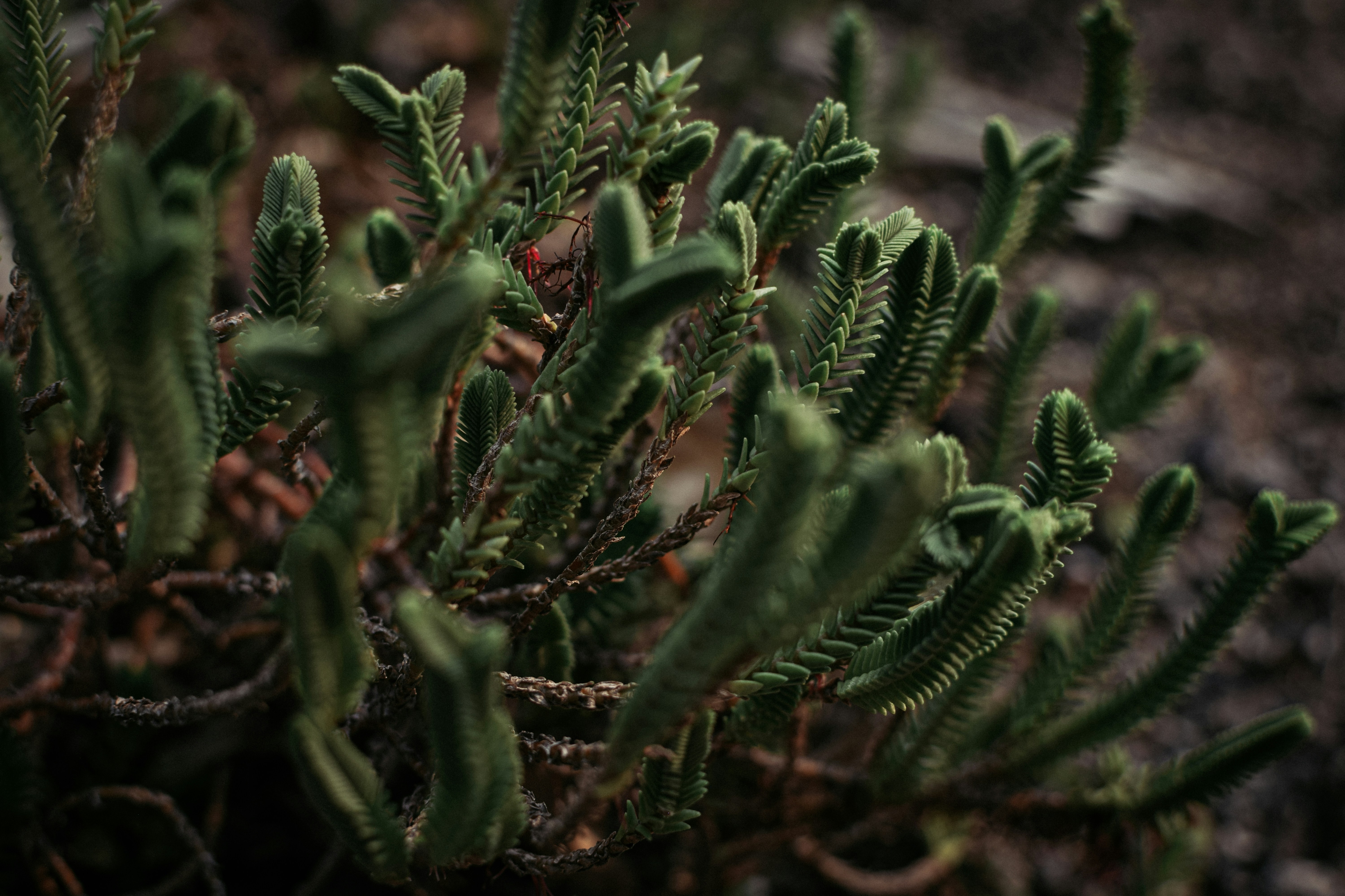 Photo by sarahcreates