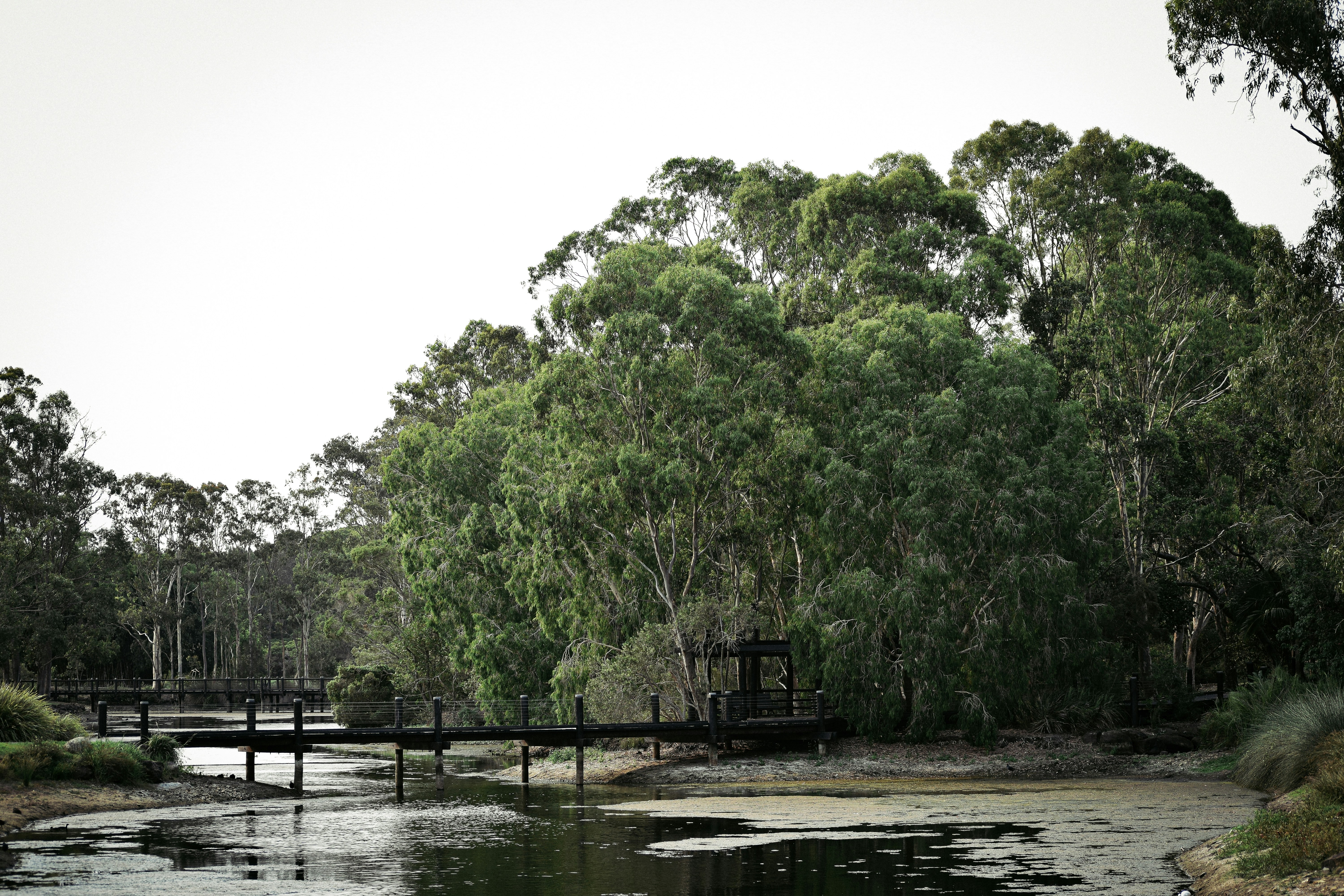 Gold Coast Botanical Gardens