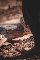 Close-up of sturdy hiking boots stepping through a bed of autumn leaves.