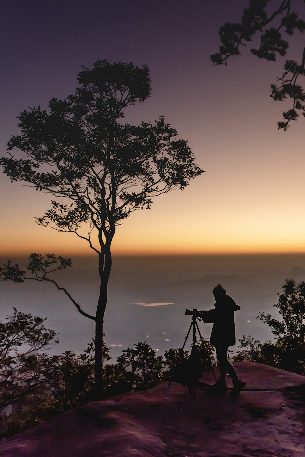 a person standing next to a tree at sunset