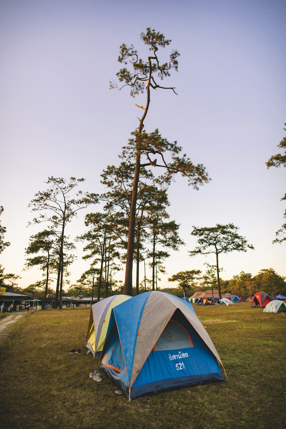 blue and brown outdoor tent photograph