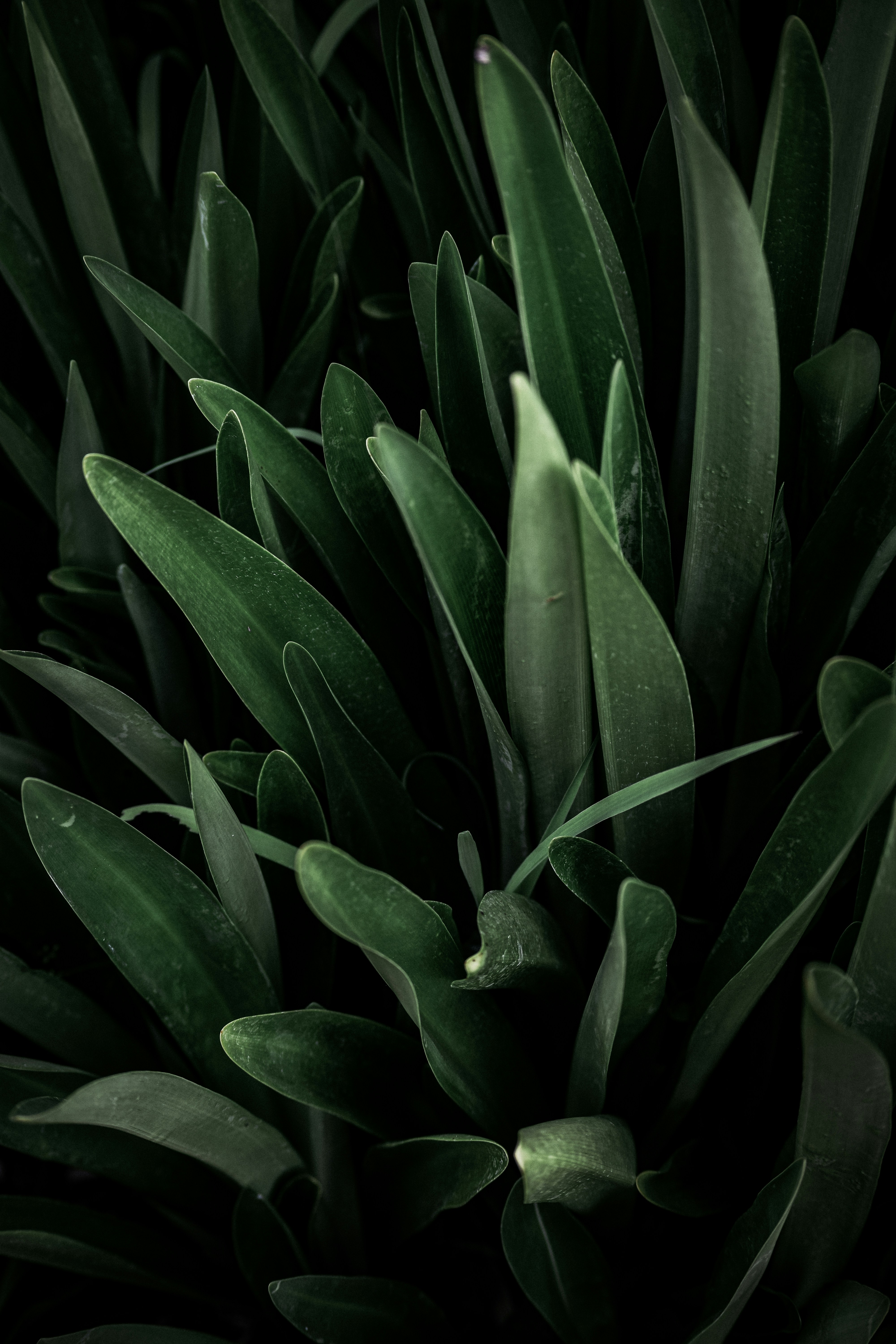 Photo by sarahcreates