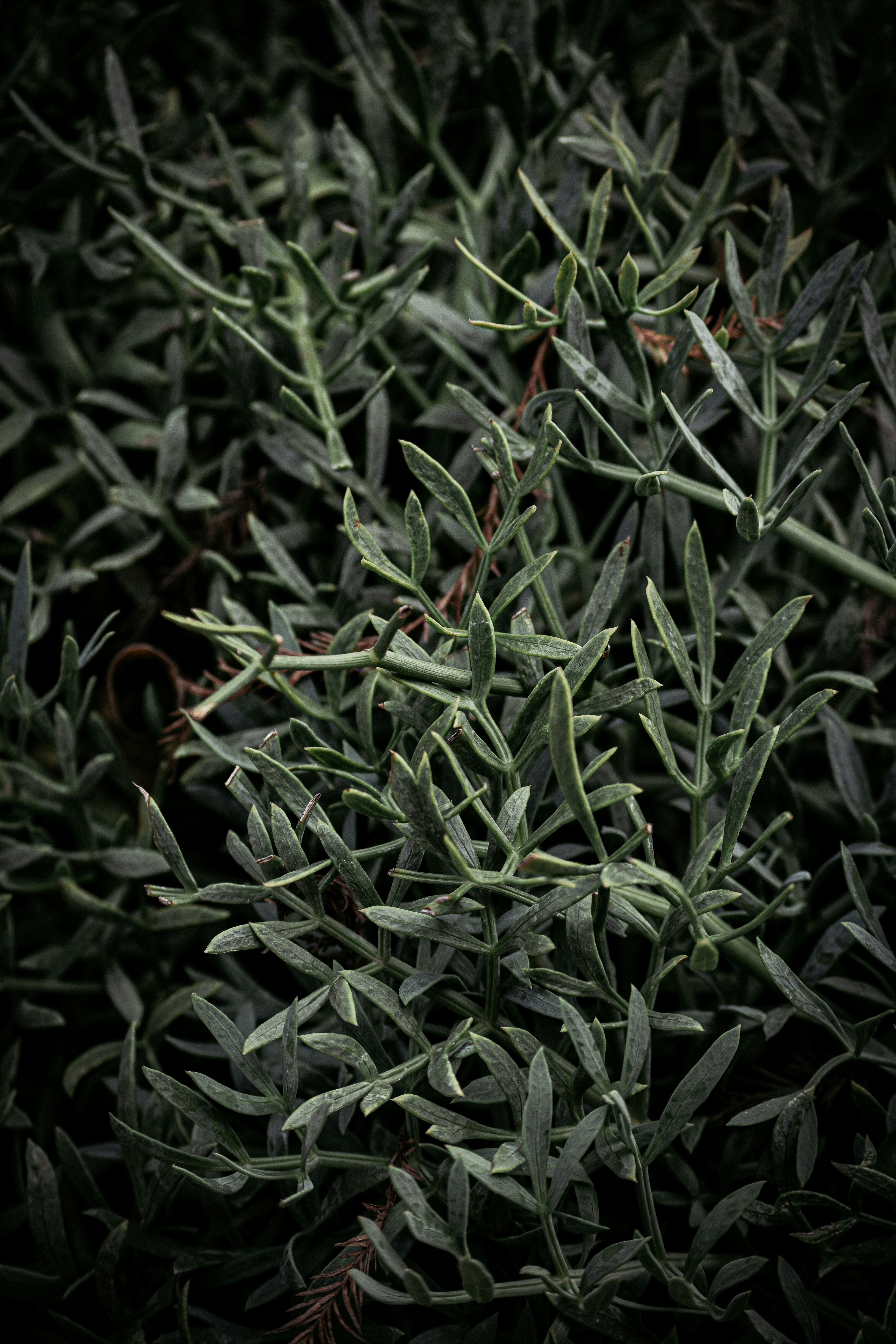 Photo by sarahcreates