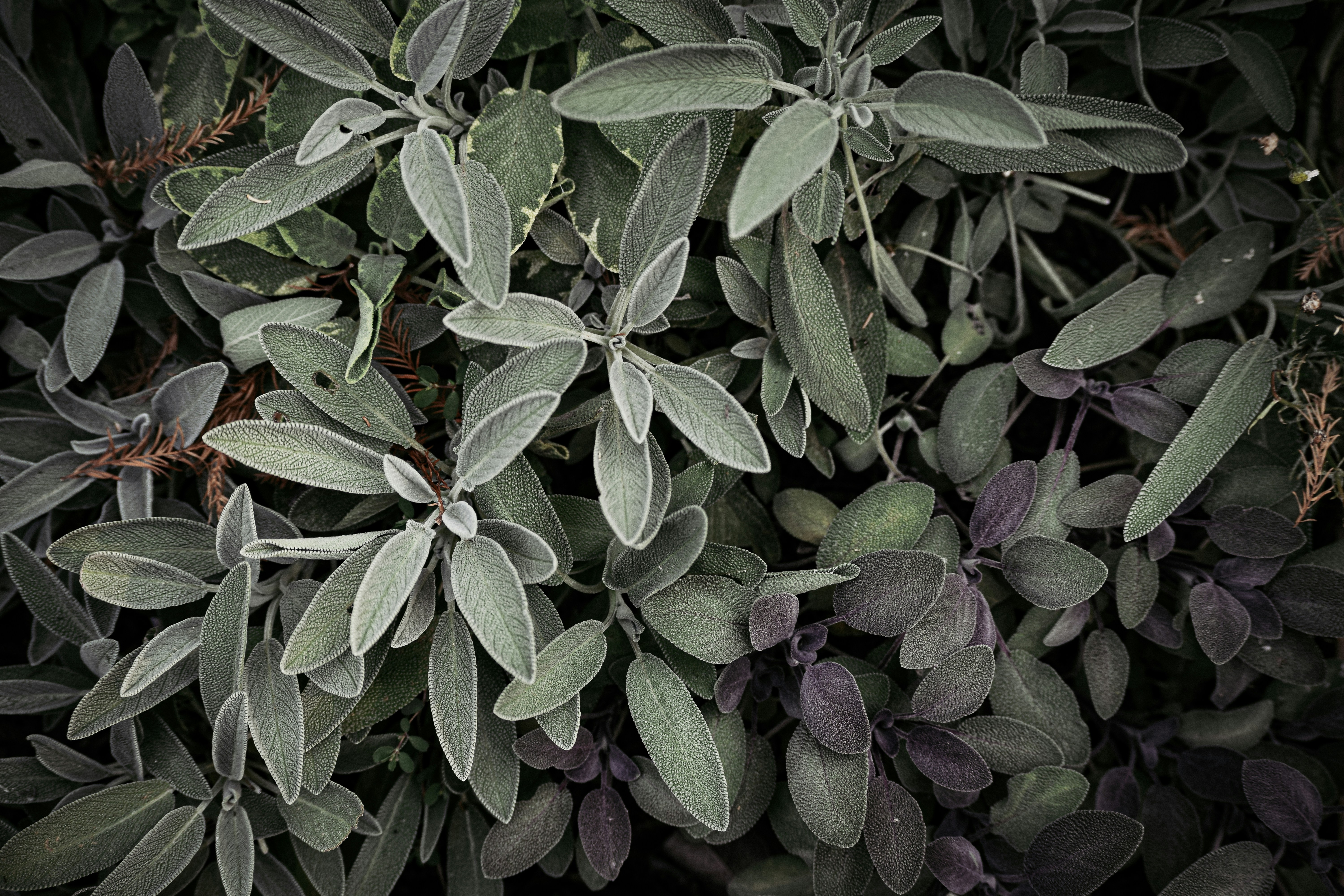 Photo by sarahcreates