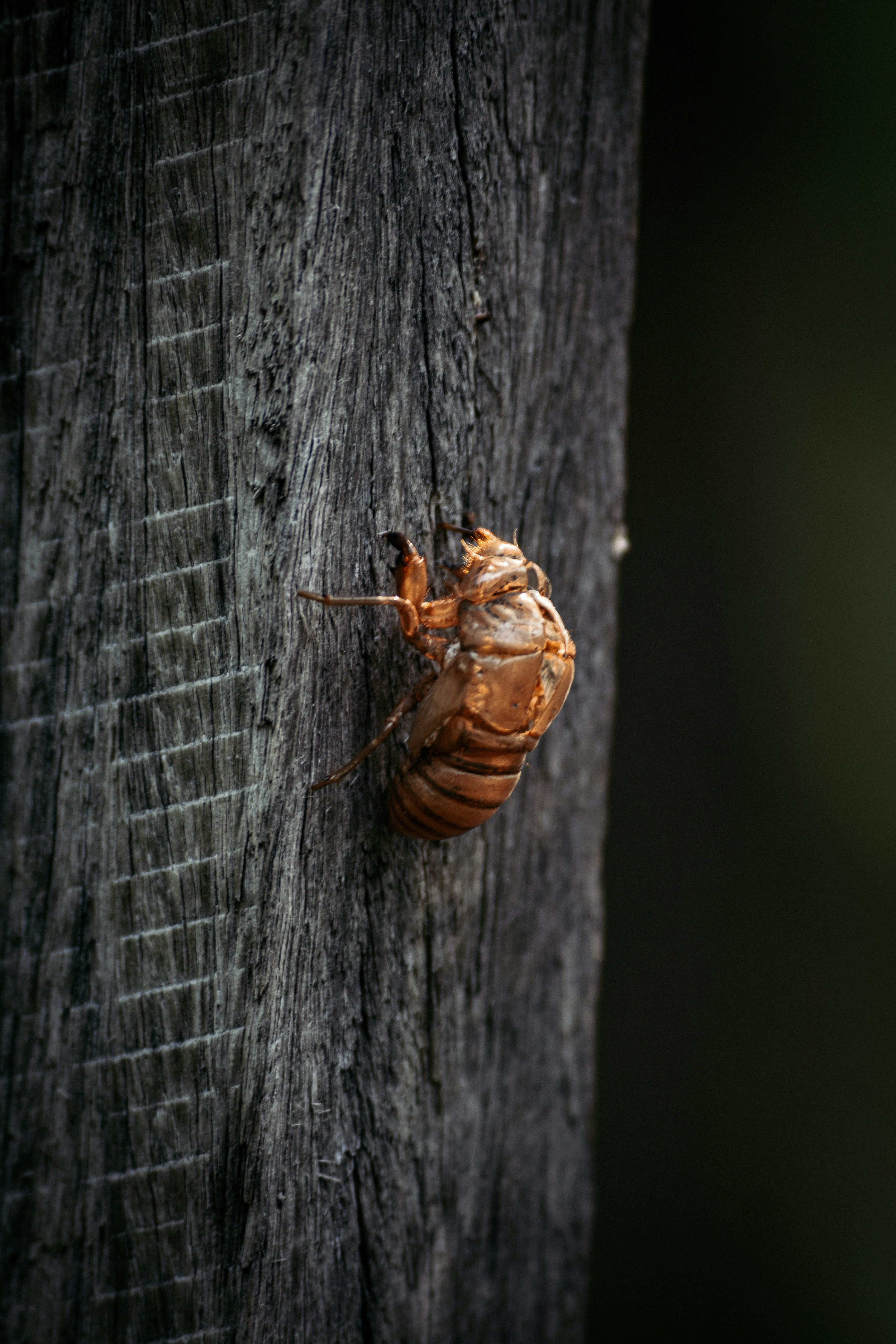 Photo by sarahcreates