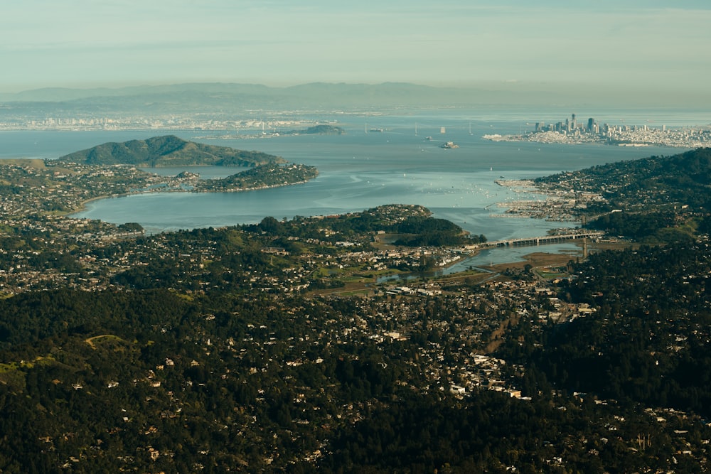 aerial view if trees near body of water