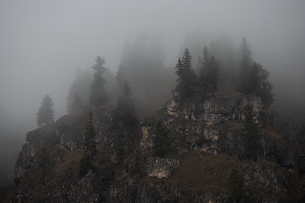 Una montagna nebbiosa con alberi in cima