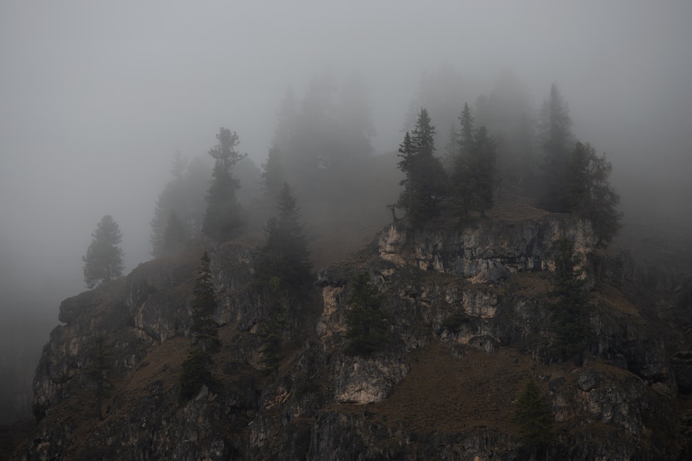 a foggy mountain with trees on top of it