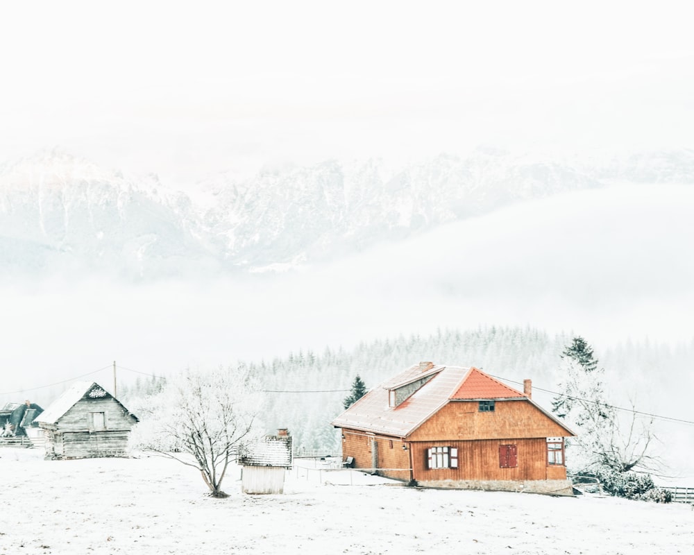 Schneebedeckte Bäume neben dem Haus