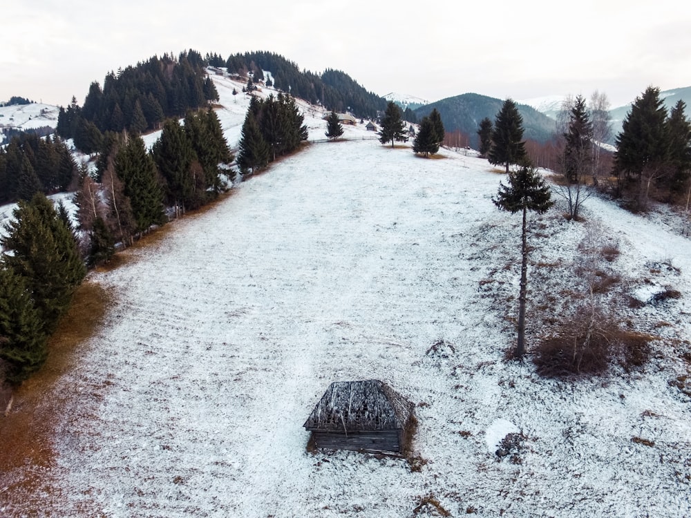 snowy mountain photograph