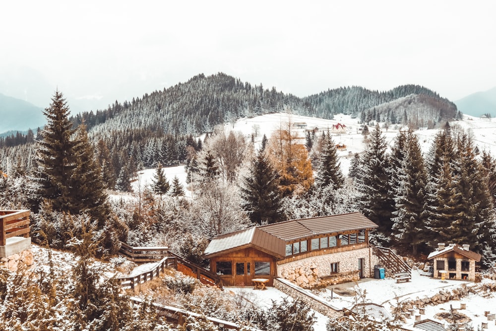 aerial photography of chalet houses surrounded by trees in a snowy mountain