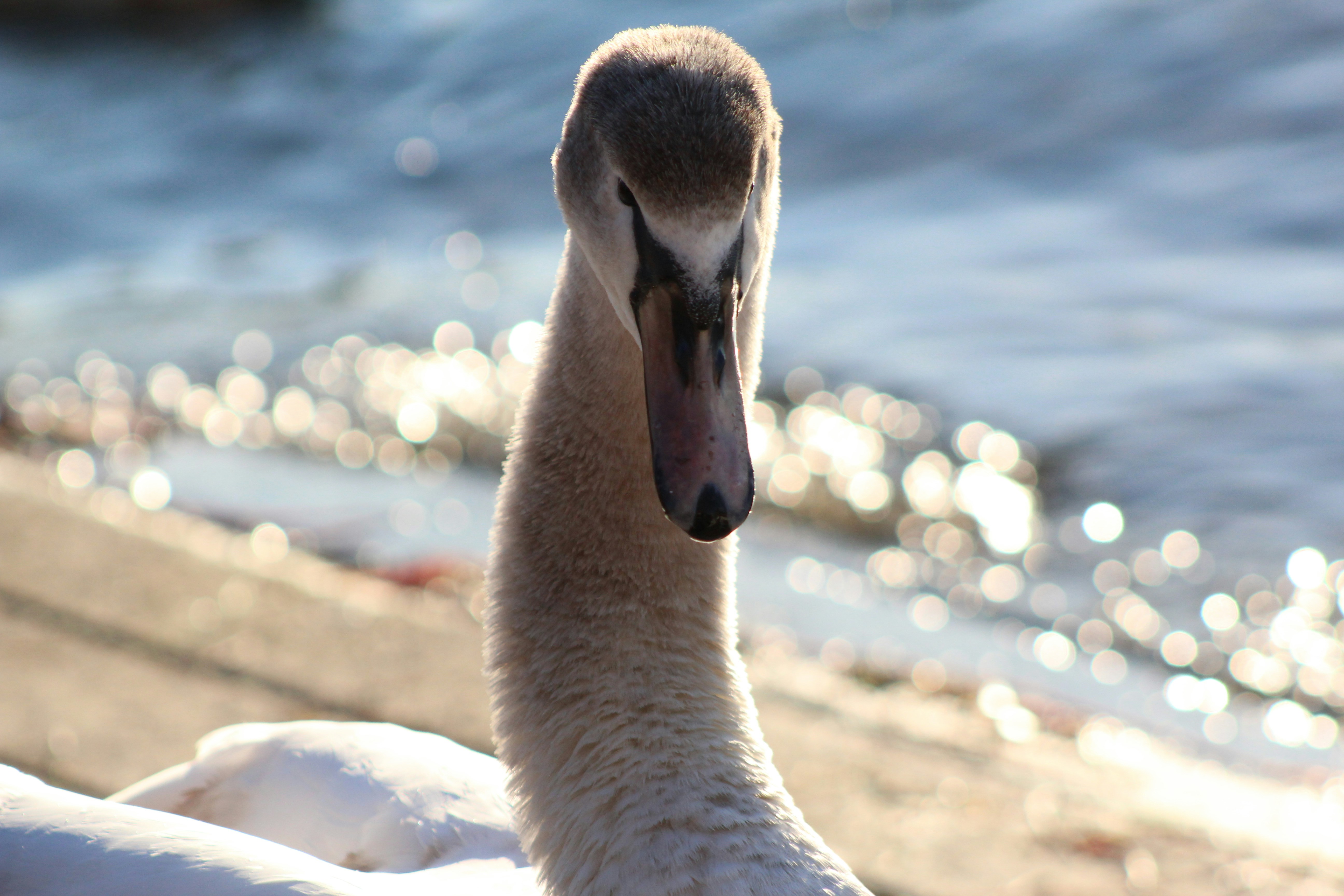 Photo by levi_midnight