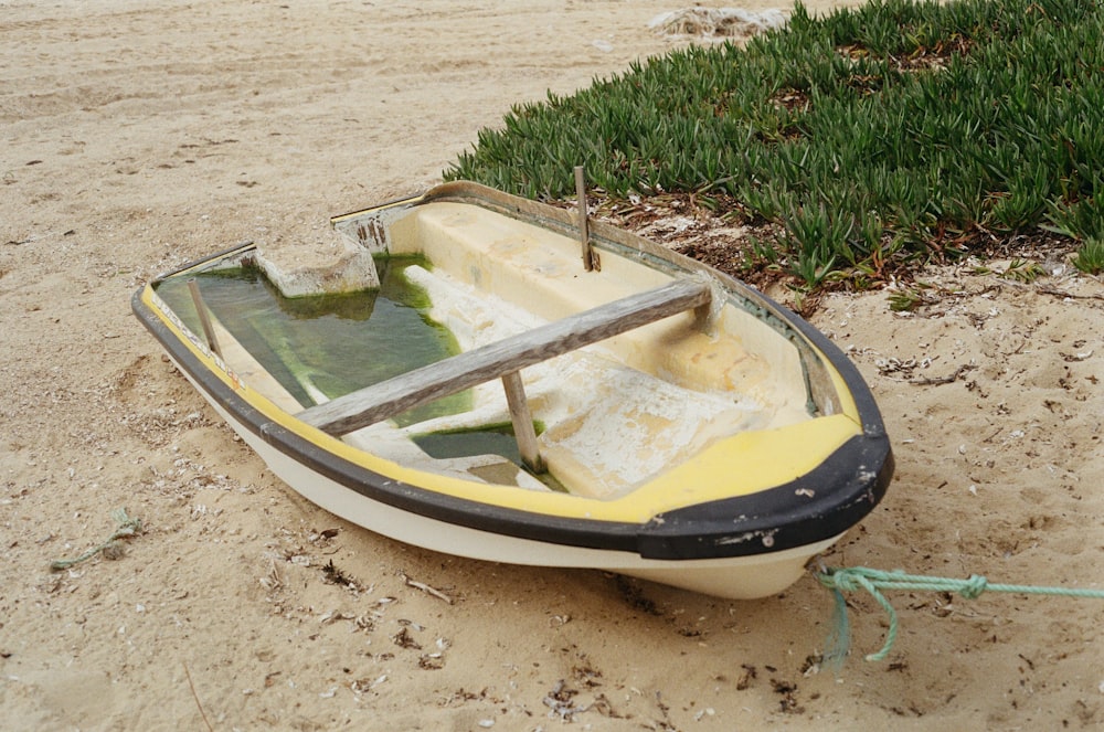 white and black canoe on beach near green grasses