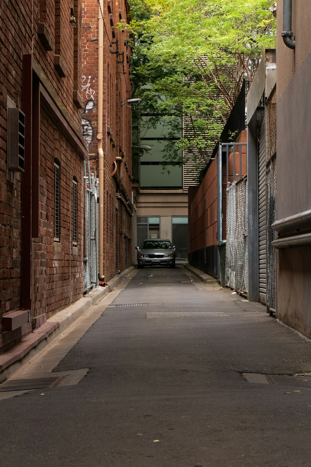 shallow focus photo of gray car parked on alley