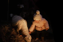 Close-up of a child gently petting a fluffy sheep.