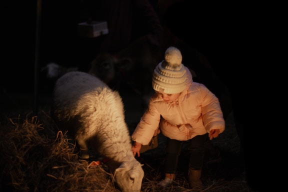 A friendly child gently petting a fluffy bunny at the petting zoo.