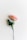 pink petaled flower on white surface