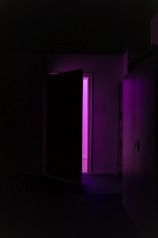 dimmed lighted room