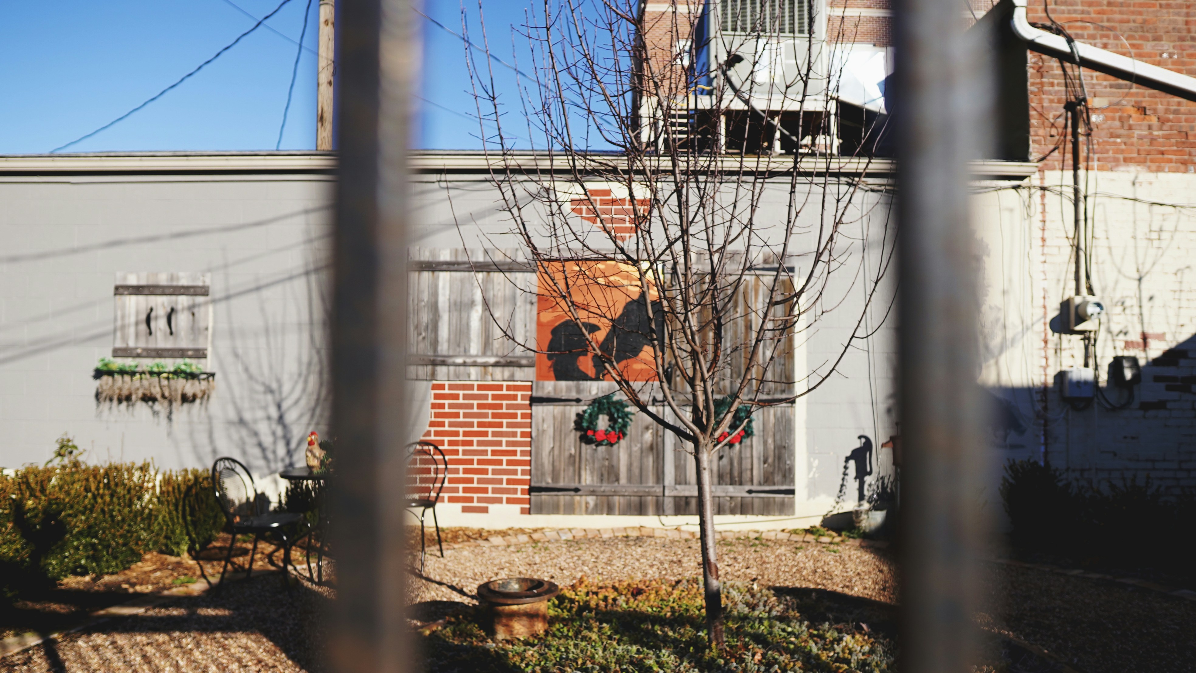 gray bare tree in front of concrete building