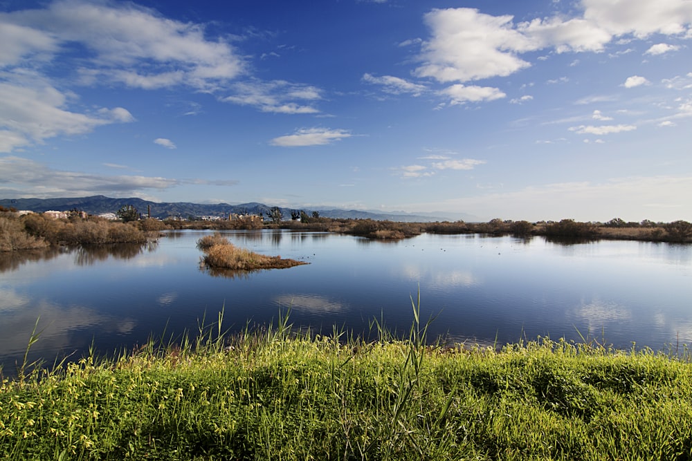 calm body of water