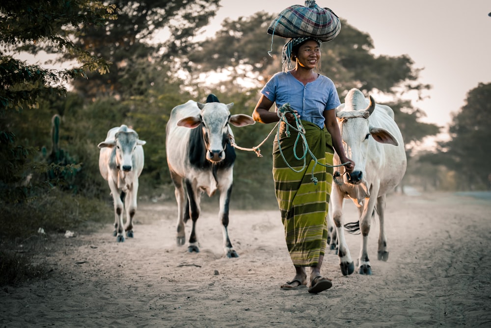 woman walking behind tree cattles