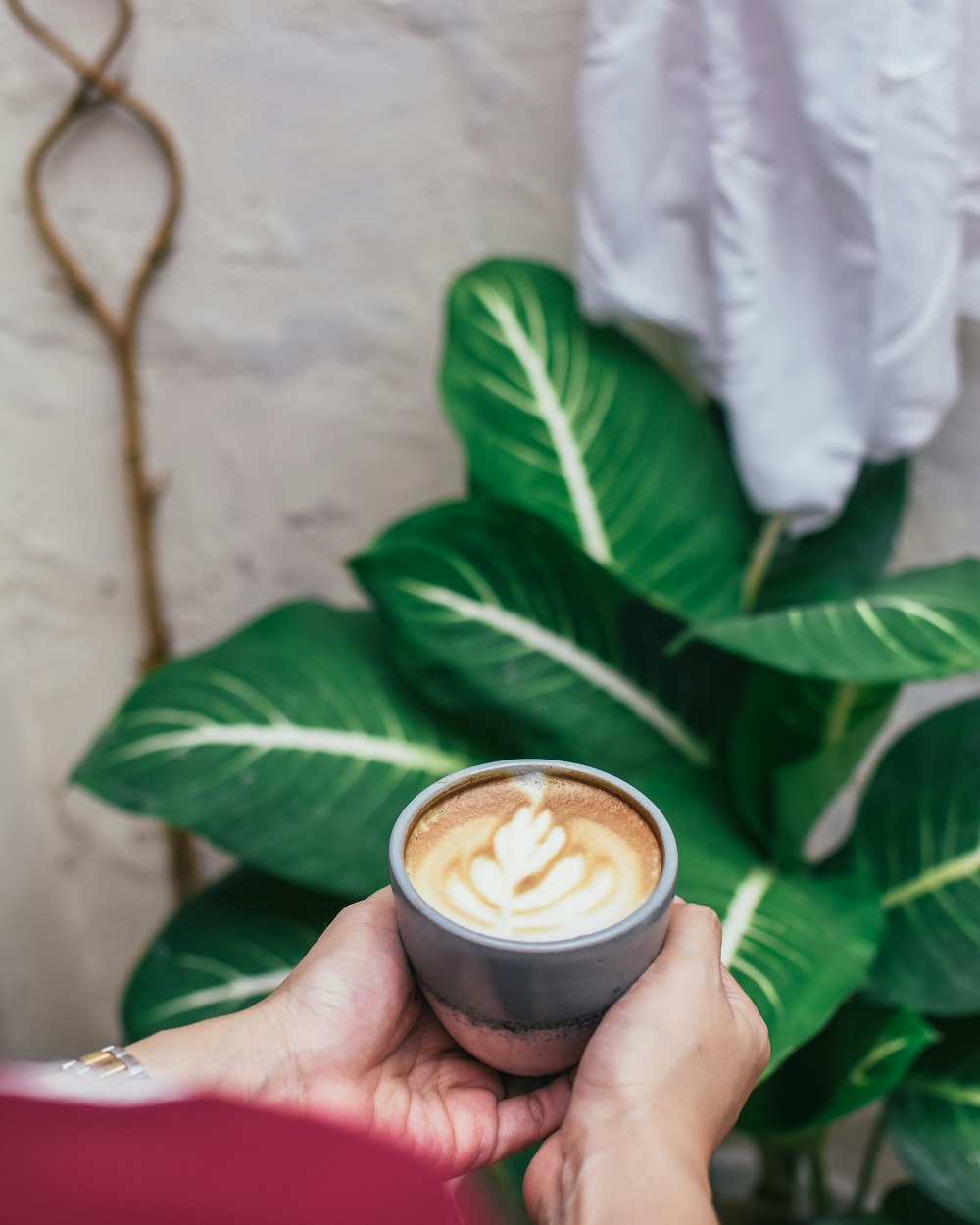 cup of cappuccino