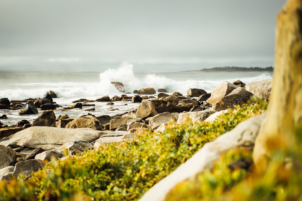 waves crashing on coastal rocks during daytime