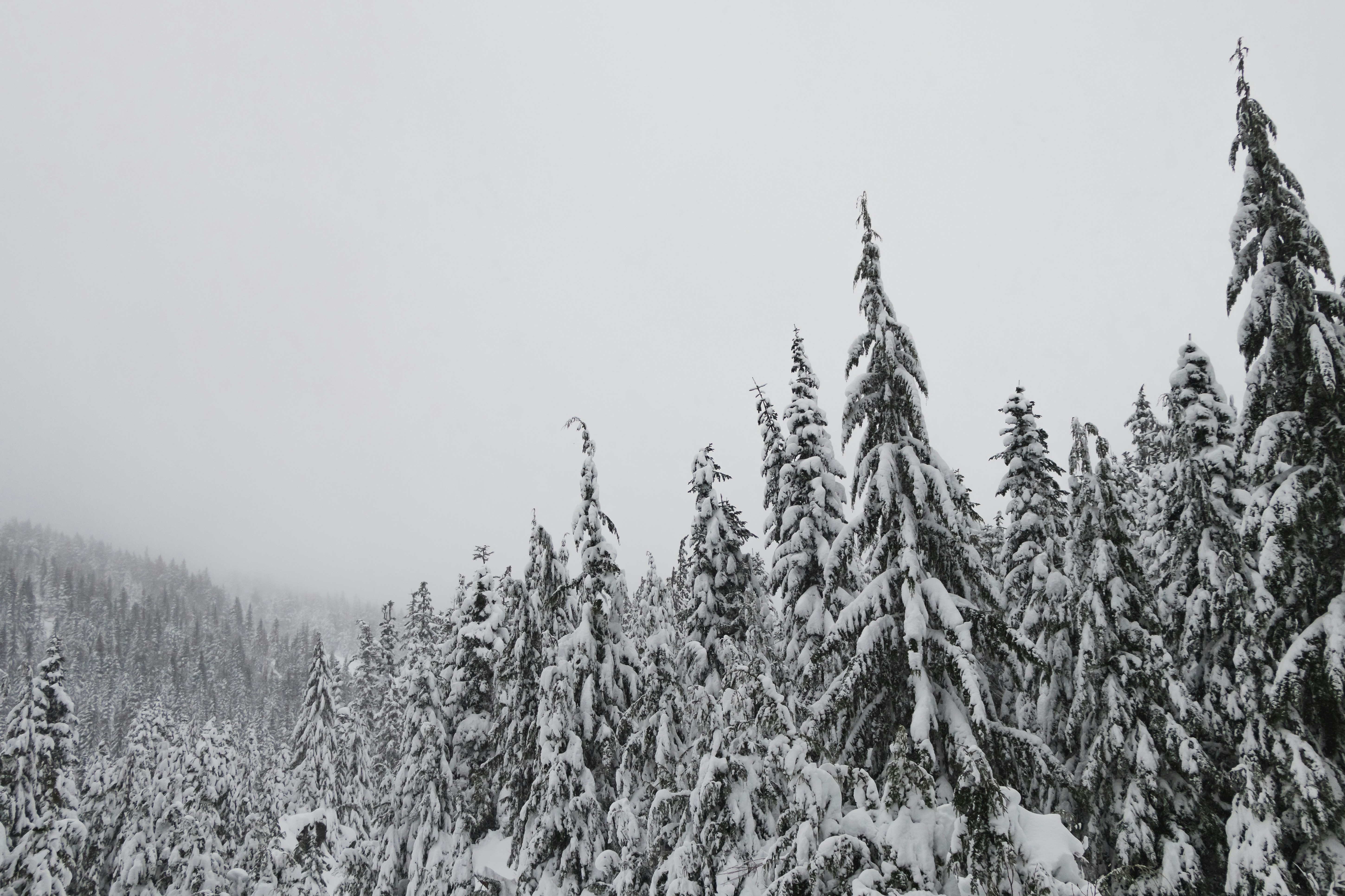 Photo by greg_rosenke