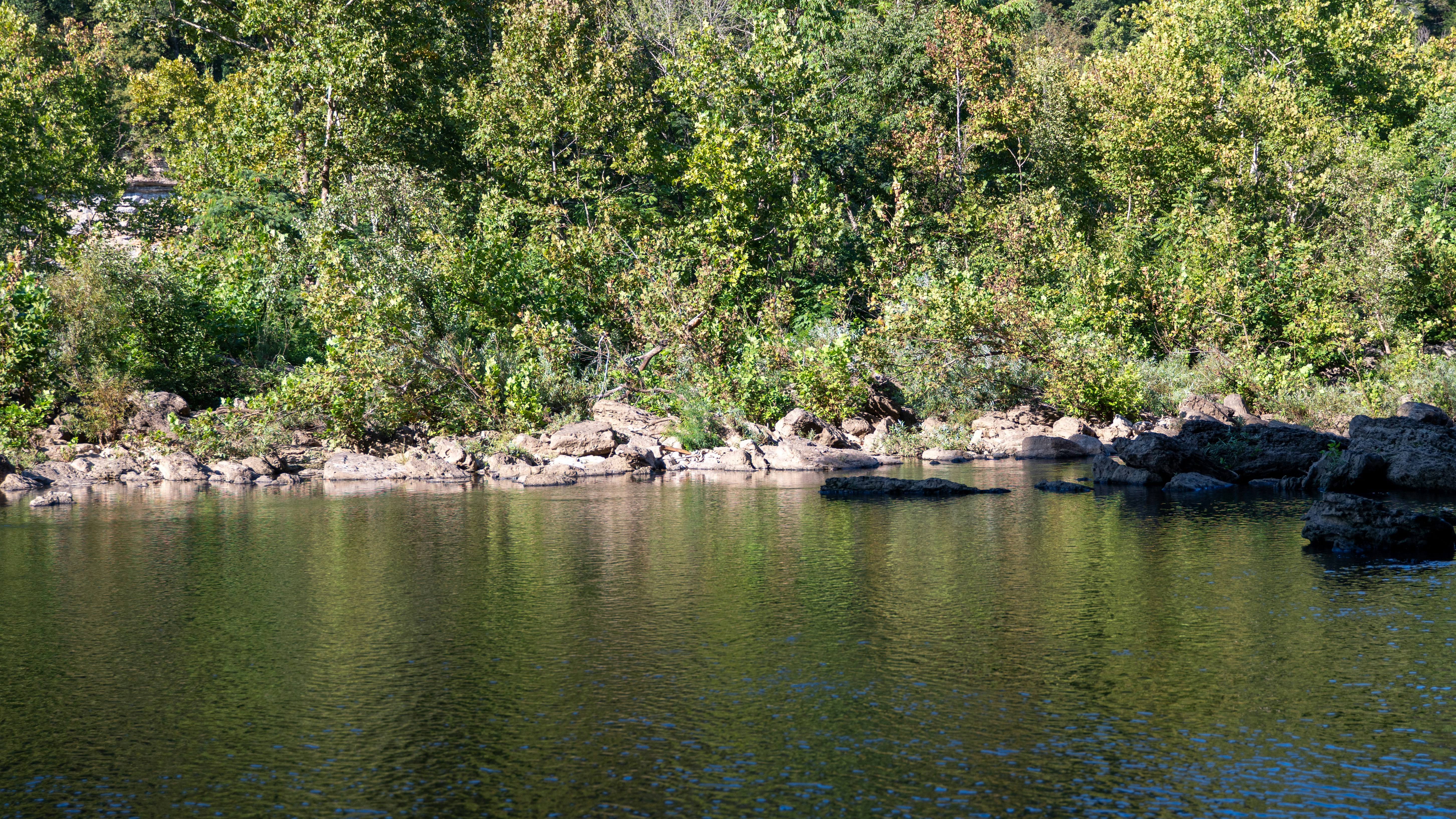 Photo by patrickcampanale